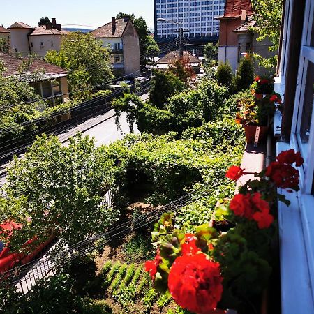 Ferienwohnung Apartament Hunter Cluj-Napoca Exterior foto