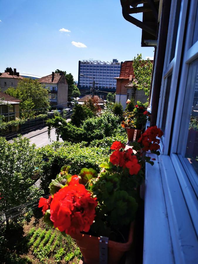 Ferienwohnung Apartament Hunter Cluj-Napoca Exterior foto